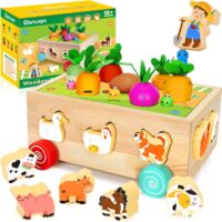 jouets éducatifs en bois