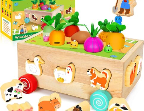 jouets éducatifs en bois