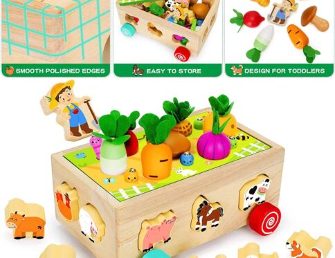 jouets éducatifs en bois